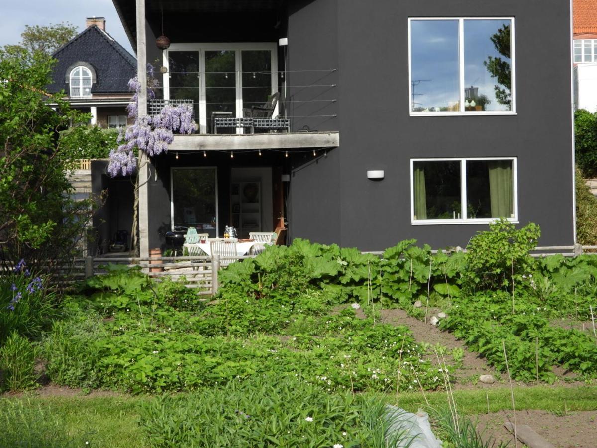 Апартаменты Casa Negra Хёганес Экстерьер фото
